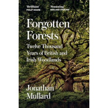 Forgotten Forests by Jonathan Mullard Paperback Book