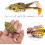 Double Propeller Frog Fishing Lure Silicone 2-Pack 2