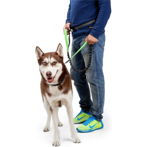 Dog Leash with Adjustable Waist Belt for Running 1