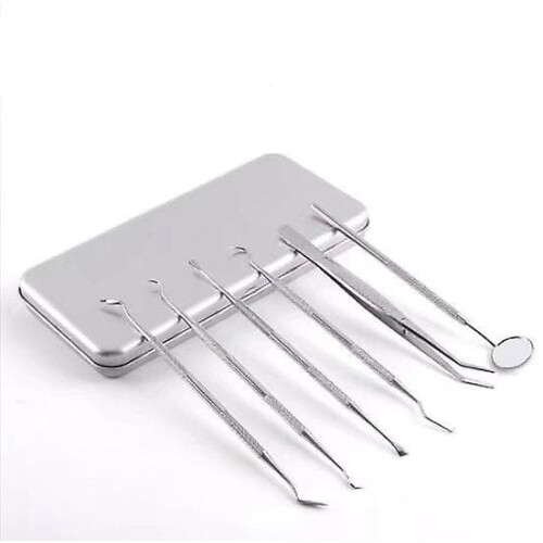Stainless Steel Dental Tools Set 12-Piece 1