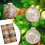 Enfeites de Natal de plástico transparente, 8 cm (3,14 polegadas), 6 peças 1