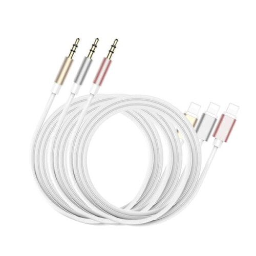 iPhone Aux Cable 3.5mm to Lightning 1m Silver 1