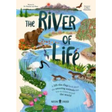 The River of Life A lifttheflap book about the amazing animals that li