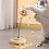 Interactive cat toy ball for indoor cats, 1 piece 1