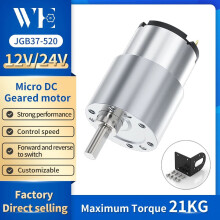 Miniature Metal Gear Motor 6V/12V/24V 7–960 RPM
