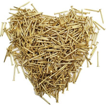 Brass Round Head Nails 1.2x10 mm 200 pcs