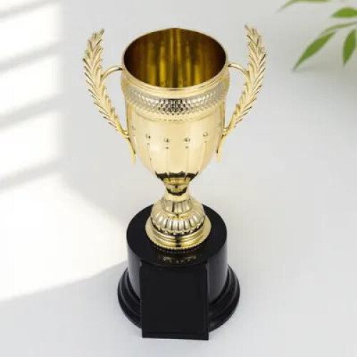 Ensemble de trophées géants dorés FRCOLOR en PVC