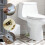 Viflosae resin toilet bolt covers decorative standard size 6