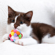 Cat Toy Balls with Bells Plush Interactive 6 Pack