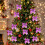 Purple Christmas Bows 5.5cm 24 Pcs 2
