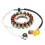 ATV Stator Coil for Jianshe Bashan 400CC Magneto Stator Coil 1