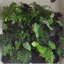 5X Garden Vertical Planter Multi Pocket Wall Mount Living Growing Bag Indoor/Outdoor Herb Pot, 12-Pocket, Black