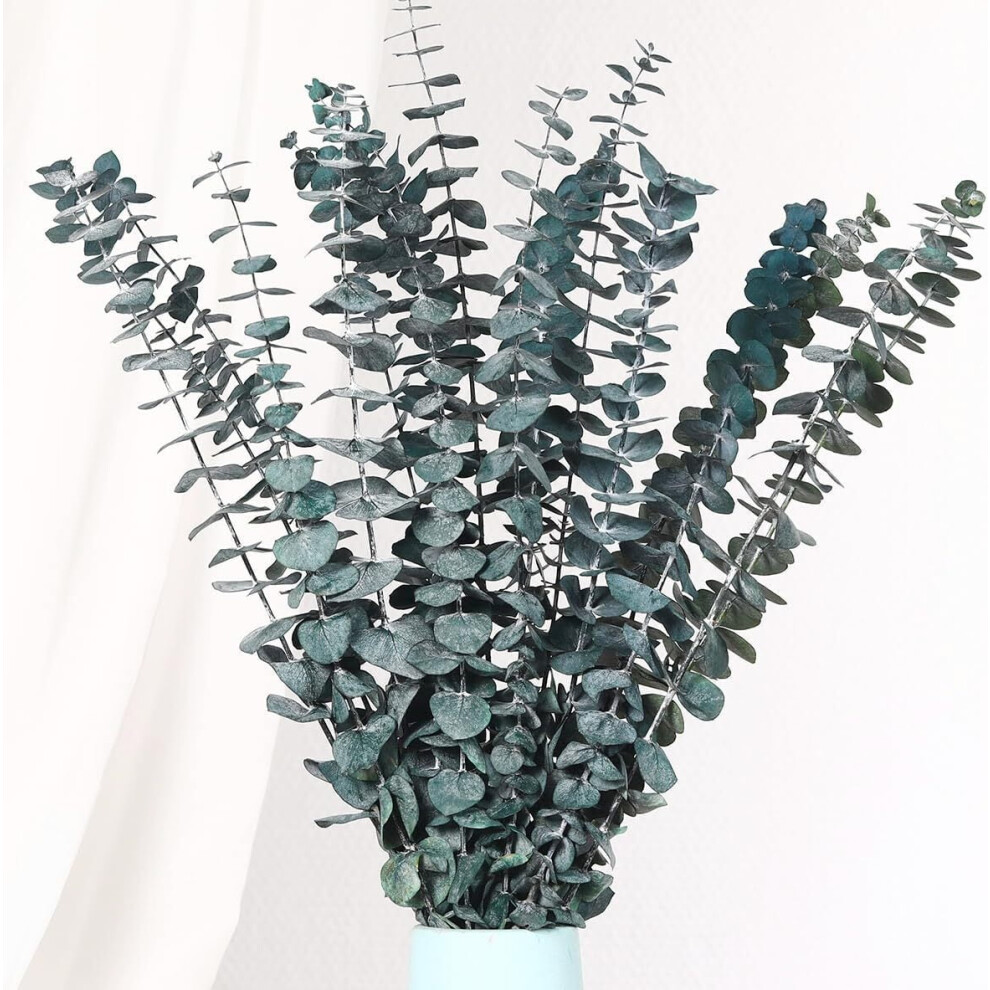 Blue Dried Eucalyptus Stems 17 Inch 20 Pcs 913466053858