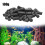 Activated Carbon Pellets 100g 2