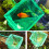 Leaf Rake and Pool Skimmer Net with Pole 4