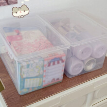 Aufbewahrungsbox aus Kunststoff mit Schnappdeckel (1 Stück)