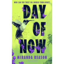 Day of Now A powerful postapocalyptic story about facing impossible ch