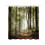 Printed Polyester Shower Curtain Waterproof Dust-proof 2