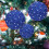 Staron blue Christmas ball ornaments 6 pcs 2