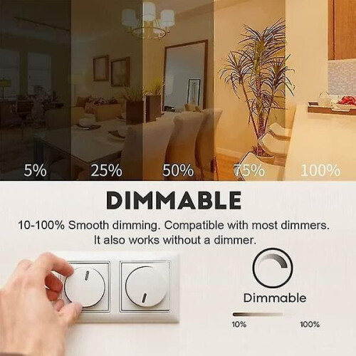 Ampoule LED R7s 118 mm 20 W dimmable 3000 K blanc chaud 2