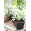 Balcony Box Black Recycled Material 55 cm 2