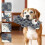 Bear Chew Toy for Dogs Blue Durable Breathable 5