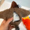 Interactive Flying Bird Toy for Cats 6