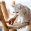 Interactive Flying Bird Toy for Cats 7