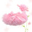 Coiffe bébé avec jupe tutu rose (1 pièce) 1