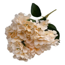 Hortensia artificiel Champagne, 5 tĂŞtes