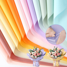 Papier de soie pastel 23 po x 23 po, 20 feuilles
