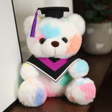 Ours en peluche arc-en-ciel de fin d'études, 23 cm