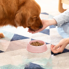 Gamelle anti-déversement pour animaux de compagnie avec base antidérapante en plastique épais1