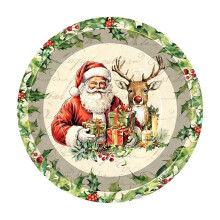 Assiettes en papier jetables de Noël (10 pièces)
