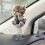 Acryl Shy Kitty bobblehead autodashboardversiering 5