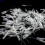 Drip Tube Nozzle Glue Micro-Tips 200 pcs 4