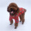 Suéter polar para perro, talla pequeña, otoño/invierno. 1