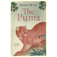 The Puma A formidable new talent The Times by Daniel Wiles Hardcover B