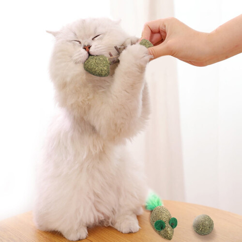 Παιχνίδι Catnip για γάτες, φυσική μπάλα σε σχήμα ψαριού, 6 τεμάχια