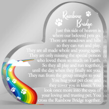 Targa commemorativa per animali domestici "Rainbow Bridge" in acrilico, 1 pezzo