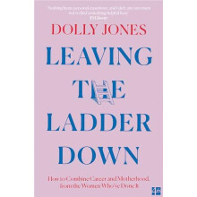 Leaving the Ladder Down by Dolly Jones Paperback Book