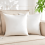 Λευκά ένθετα μαξιλαριών με πούπουλα Alternative 2-Pack 18x18 1