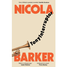 TonyInterruptor by Nicola Barker Paperback Book