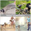 Dog Bike Leash Attachment Retractable Bicycle Leash 6