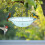 Outdoor Bird Bath and Feeder with Hanging Hook 7