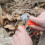 Ozark Trail flint and steel fire starter 1 pack 7