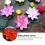 Nénuphars artificiels flottants PU3pcs 1