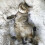 Cat and Dog Bed Gray Sleeping Place 8