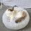 Cat and Dog Bed Gray Sleeping Place 2
