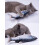 Interactive cat toy splashing fish grey 3